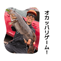 mimimi_20260410093809