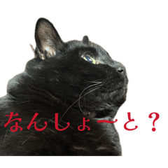 craftroom-hkt_20260409233755