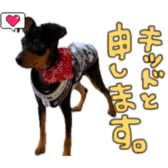 828718s_20260409233832