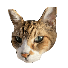 ohagi&Omoti burger Set