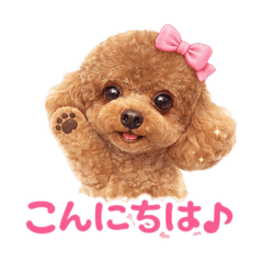 mikan_20260409232949