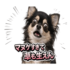 Jintan_20260409234432