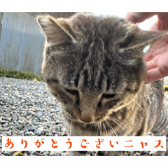 moguri&moguru&kuu stamp