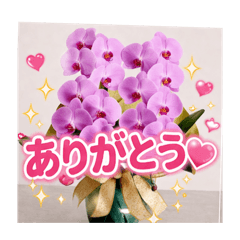 Tiffany_202604101025