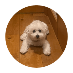 Tamako_20260410133950