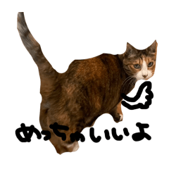 merin_20260410134900