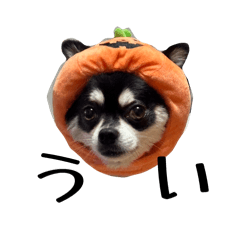 nooooooo_20260410135307