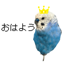 abcdefghijk_20260410135751