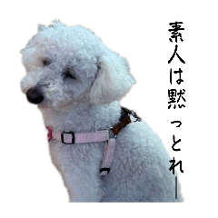 fujimura_20260410134952