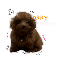 bello angel_20260410024201