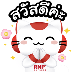 RNP Express: Romy V.1