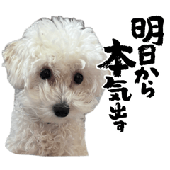 morishi_20260410001545