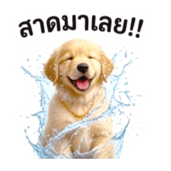 Nuni Naka_20260410055444