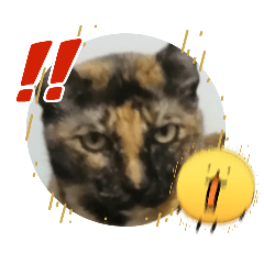 Siad-si and Cheng Cheng_20260410082749