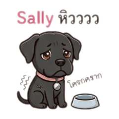 my name is name_20260410095622