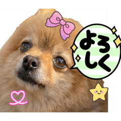 kaede_20260410140416