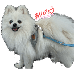 DivaAsako_20260410141007