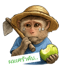 Toy688889_20260410115652