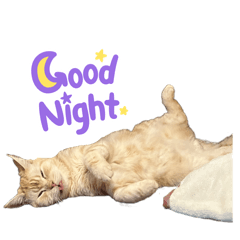 fukuami_20260410142352