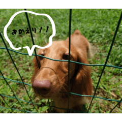 nayu1408_20260410142136