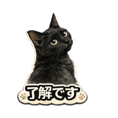 okayu_20260410150653