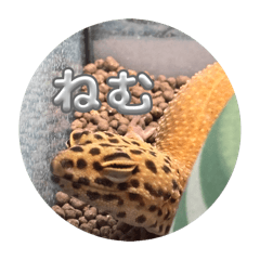 kairi_20260410151255