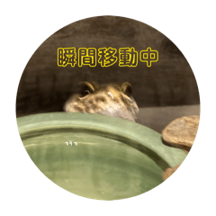 kairi_20260410151357