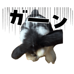 chanm._20260410151731