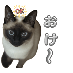 yousan_20260410150719