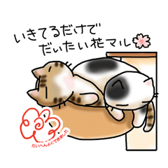 Hitomi Kakihara yuruneko sticker4