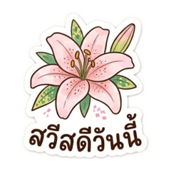 Pudding_20260406094645