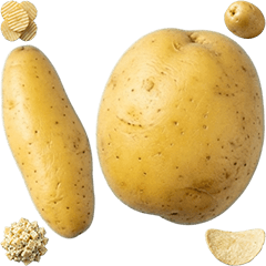 馬鈴薯真人表演