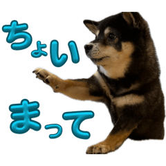 mikoto_20260409223326