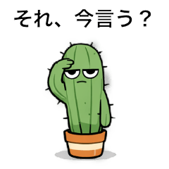 Toge-o & Toge-ko,Office Cactus Cant Even