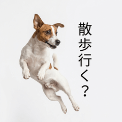 Jack Russell Honne - Daily & Funny