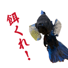 yuchi_20260410141856