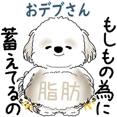 Shih tzu 2026 (overweight people)