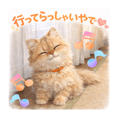 HanaHana_20260410150708