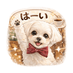 mayumi_20260410160847