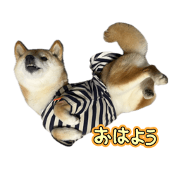 chikuwa mom_20260410161009