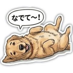 R&A neko handmade_20260410160934