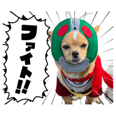 KTSMAMA_20260410144632