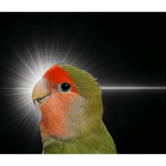 mimikko_20260410161927