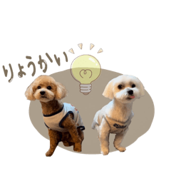 Ao.1997_20260410163349