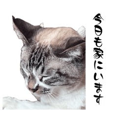 ke1ta_20260410162015