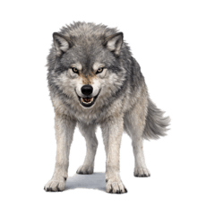 NaoNon_20260410163205