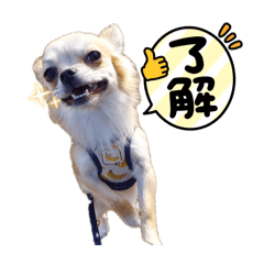 Kimiki_20260410082624