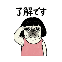 zoo studio_20260410083631