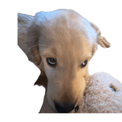 NANAMI_20260410083140