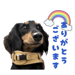 naeri_20260410083655